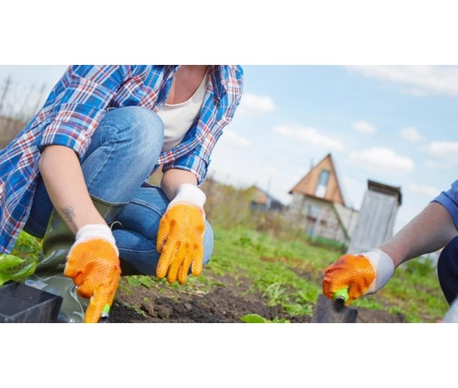 Contenido e-learning MF0521_1 Operaciones Básicas para la Instalación de Jardines, Parques y Zonas Verdes